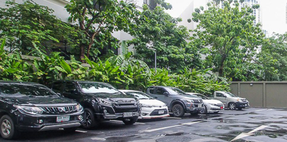 picture of NPD Parking Thailand Cultural : 1003