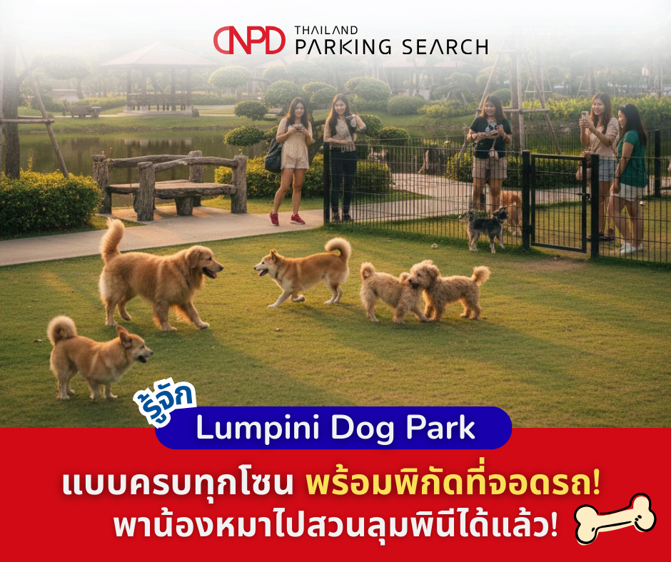 ที่จอดรถ สวนสุนัข สวนลุมพินี